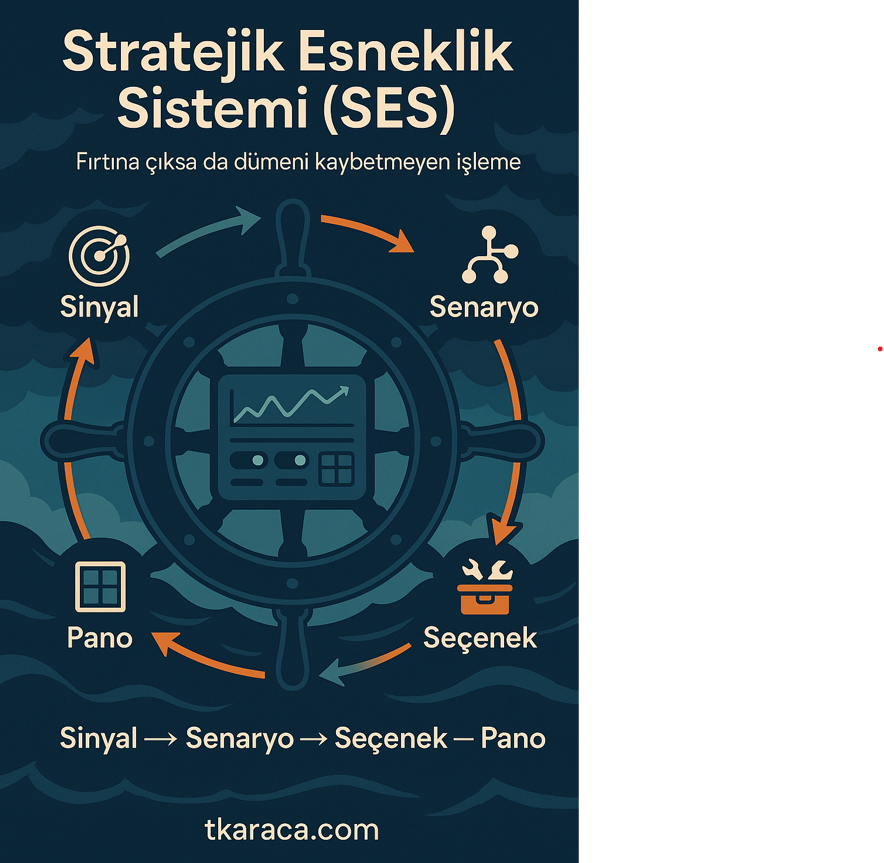Stratejik Esneklik Sistemi - SES